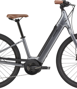 Cannondale Adventure Neo 4