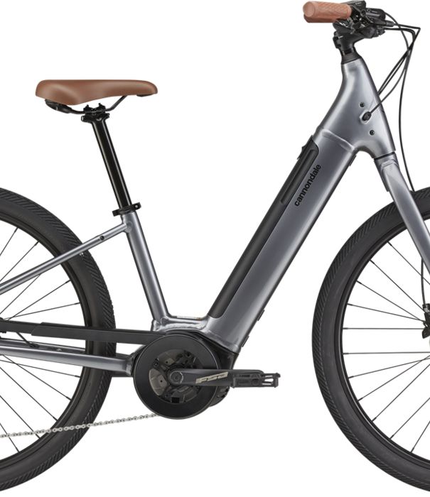 Cannondale Adventure Neo 4