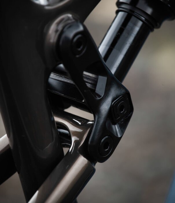 ROCKY MOUNTAIN ROCKY MOUNTAIN INSTINCT C70 MD (29) BN/BL