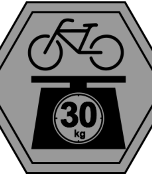 BUZZRACK E-HORNET H2, 2 VéLOS