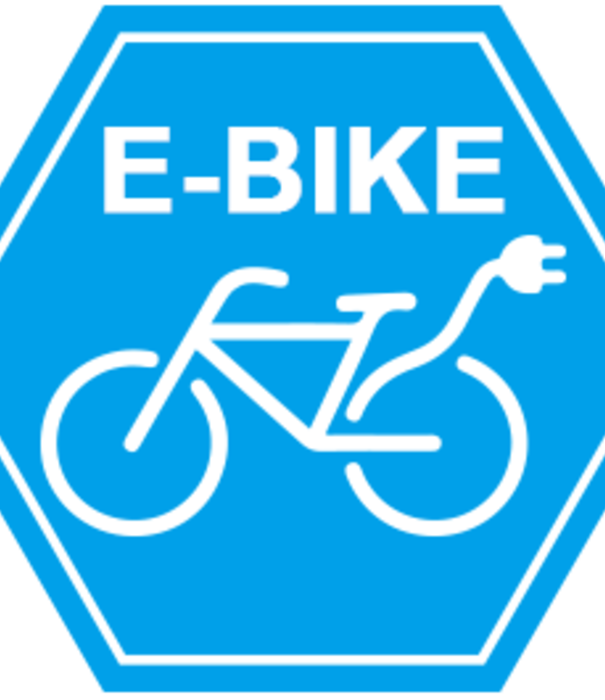 BUZZRACK E-HORNET H2, 2 VéLOS