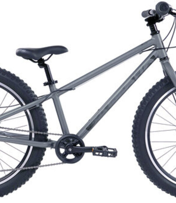 EVO, Big Ridge 24, Vélo pour enfants, 24'', Gris, U