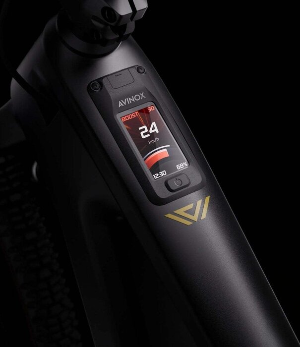 Velduro Rogue X M2S