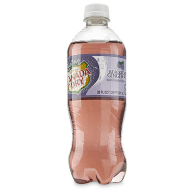 Exotic Soda Canada Dry Blackberry Ginger Ale Soda