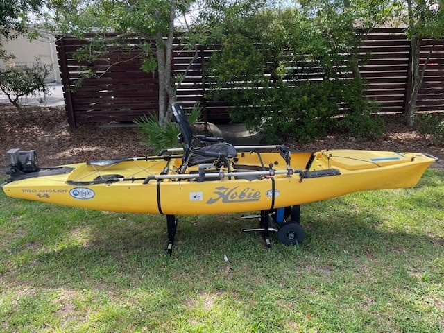 USED Pro Angler 14 2019