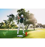 TURTLEBOX AUDIO LLC Ranger