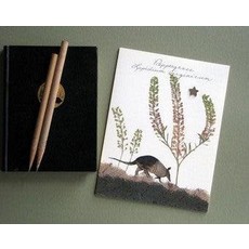 Austin & Texas Peppergrass 'Dillo Card