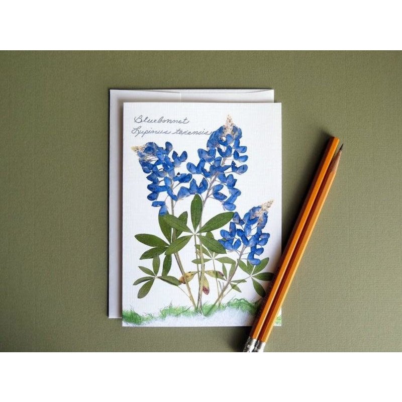 Austin & Texas Bluebonnet Trio Card