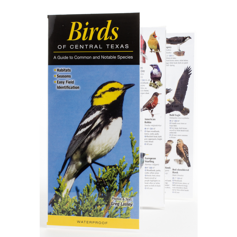Austin & Texas Birds of Central Texas Guide PB