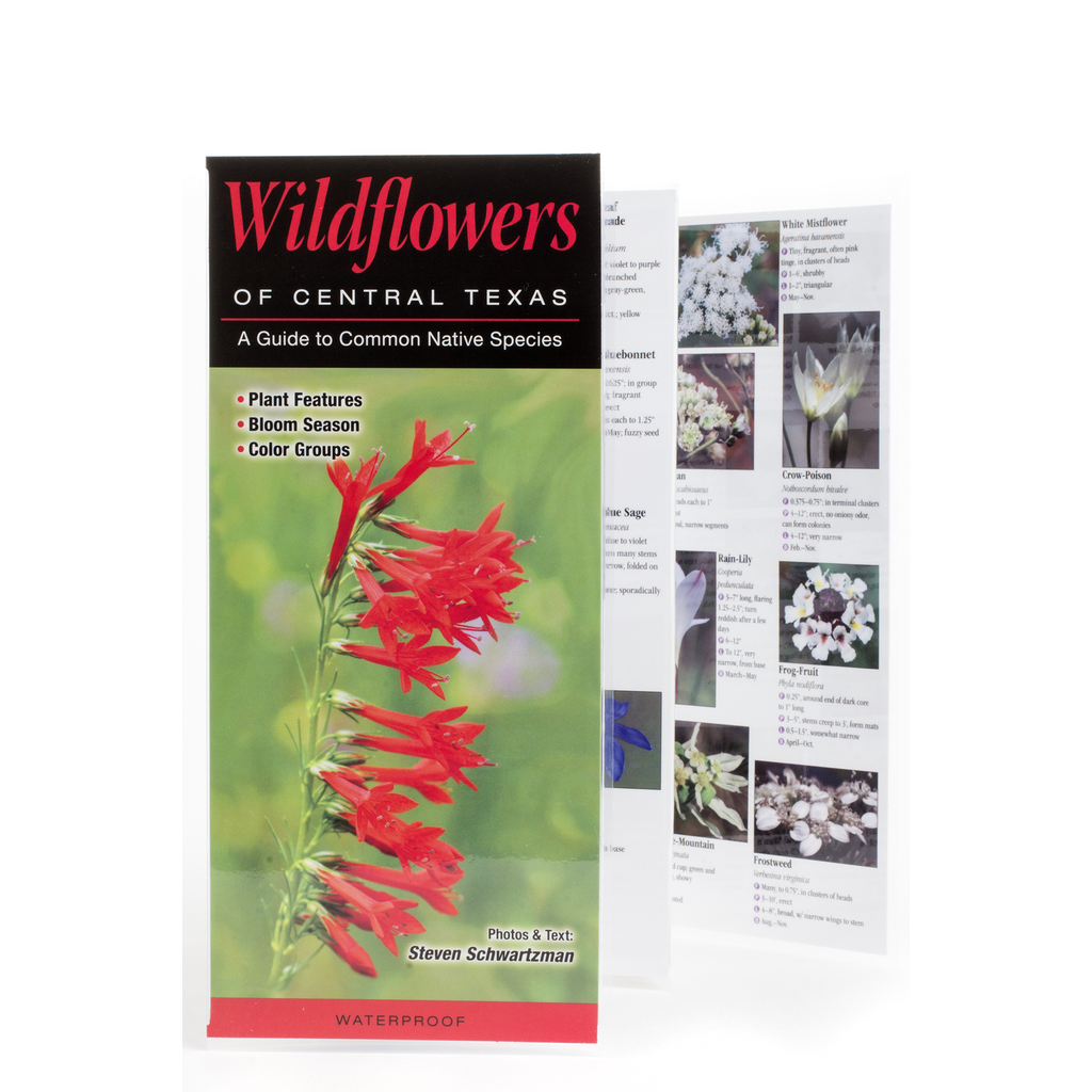 Austin & Texas Wildflowers of Central Texas Guide PB