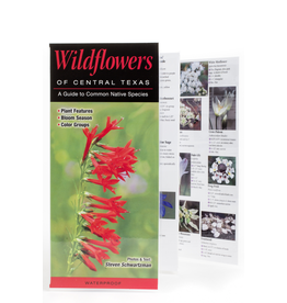 Austin & Texas Wildflowers of Central Texas Guide PB