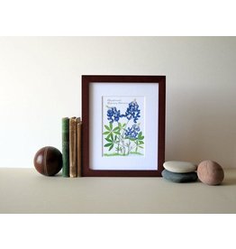 Austin & Texas Bluebonnets Trio 8X10 print
