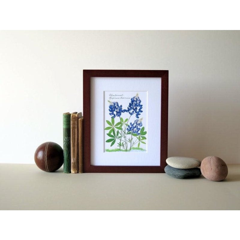 Austin & Texas Bluebonnets Trio 8X10 print