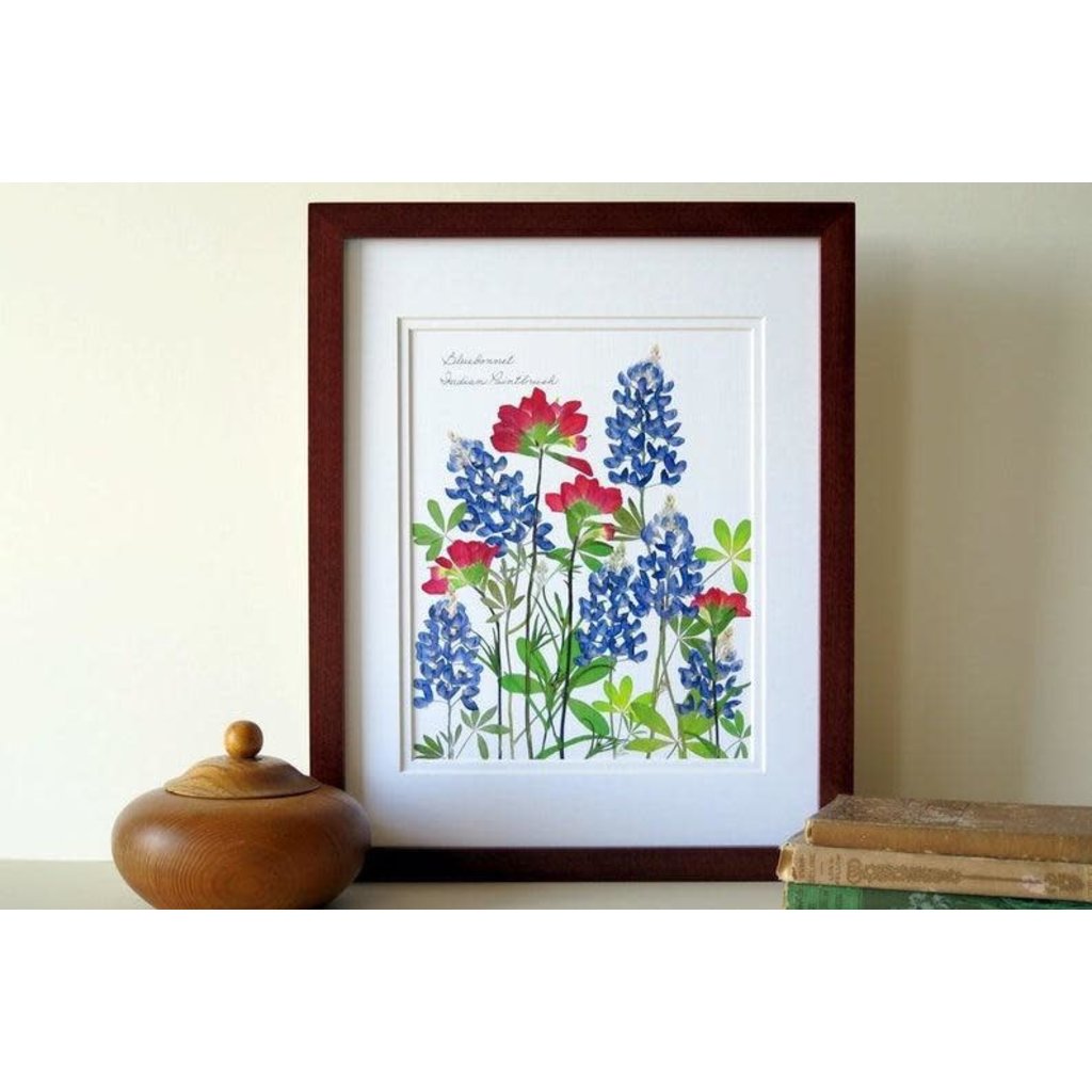 Austin & Texas Bluebonnets & Indian Paintbrush 11X14 print