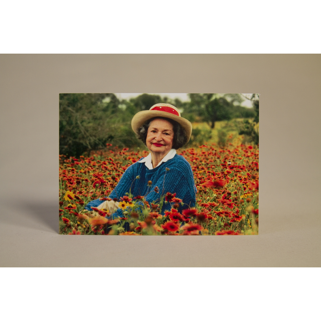 Lady Bird Johnson Lady Bird Johnson Wildflowers Postcard