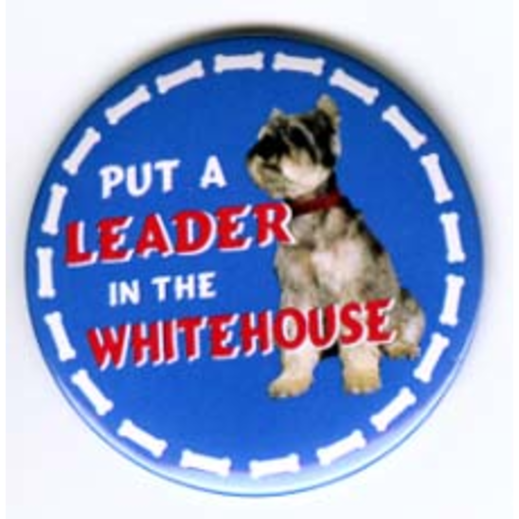 Put a LEADER in the White House Dole