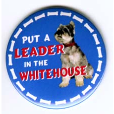 Put a LEADER in the White House Dole