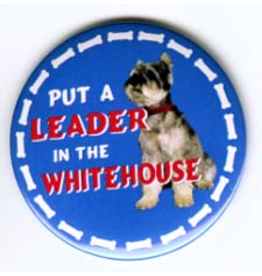 Put a LEADER in the White House Dole