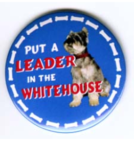 Put a LEADER in the White House