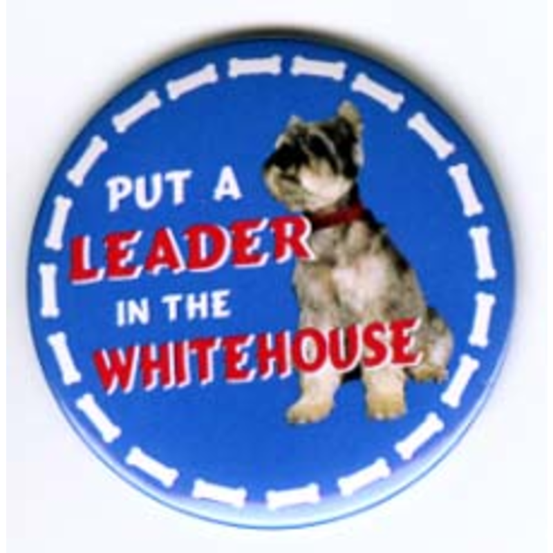 Put a LEADER in the White House