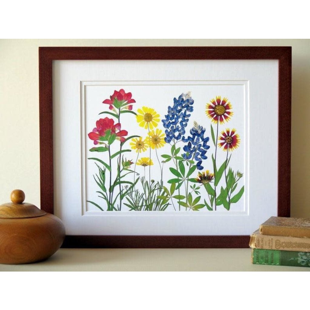 Austin & Texas Texas Wildflowers 11X14 horiz print