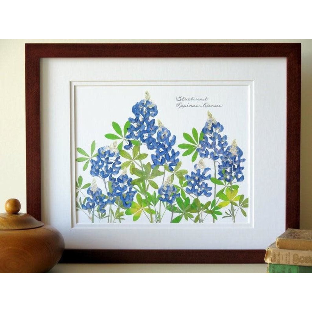 Austin & Texas Bluebonnet Field 11X14 horiz print