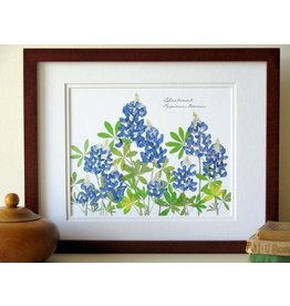 Austin & Texas Bluebonnet Field 11X14 horiz print