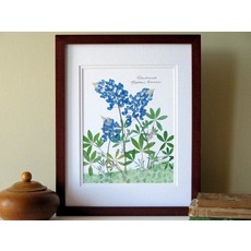 Austin & Texas Bluebonnet Trio 11X14 print