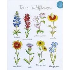Austin & Texas Texas Wildflowers 8x10 print by Kim Kaiser