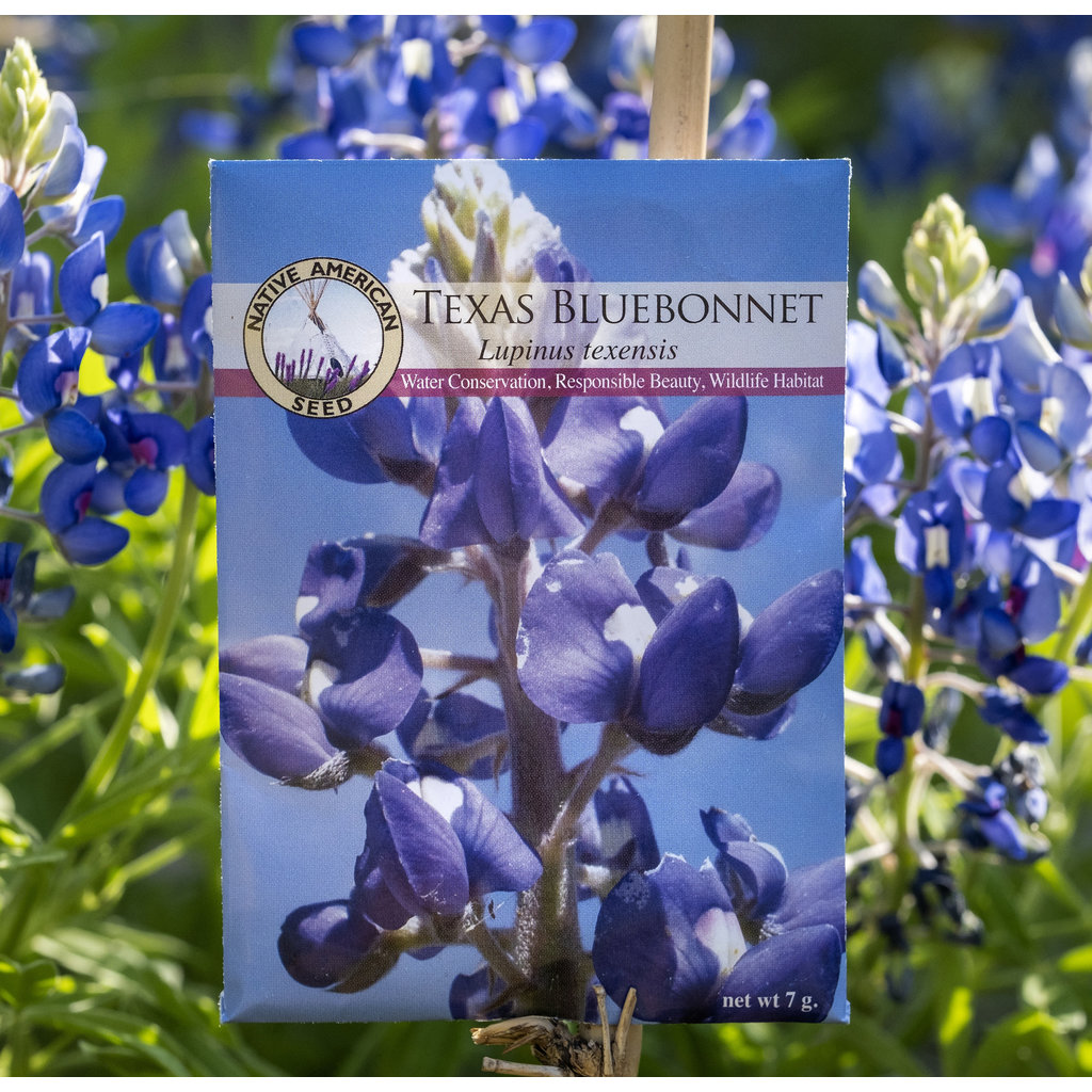 Austin & Texas Bluebonnet Seeds Packet