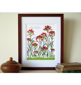 Lady Bird Johnson Indian Paintbrush 11x14 print