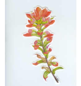 Austin & Texas Indian Paintbrush 4.75" x 2.25" Vinyl Sticker