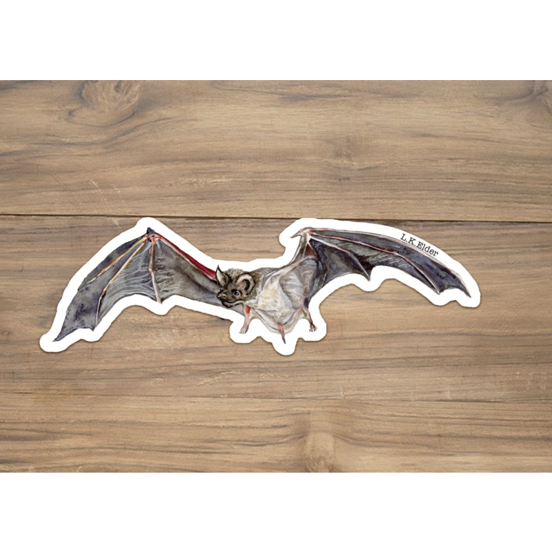 Austin & Texas Mexican Free Tailed Bat 5"x1.5" Vinyl Sticker