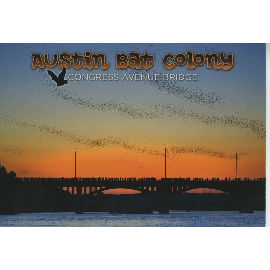 Austin Bat Colony Postcard