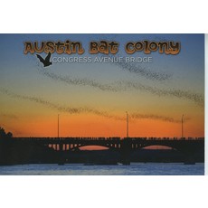 Austin Bat Colony Postcard