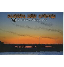 Austin Bat Colony Postcard