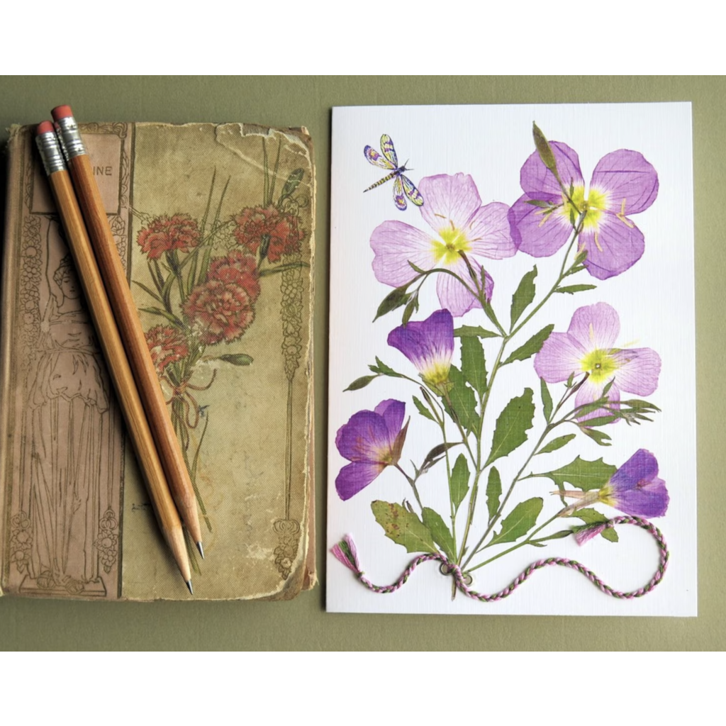 Austin & Texas Evening Primrose Card