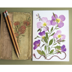 Austin & Texas Evening Primrose Card