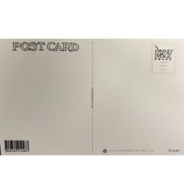 Austin & Texas Greetings from Austin Vintage Postcard