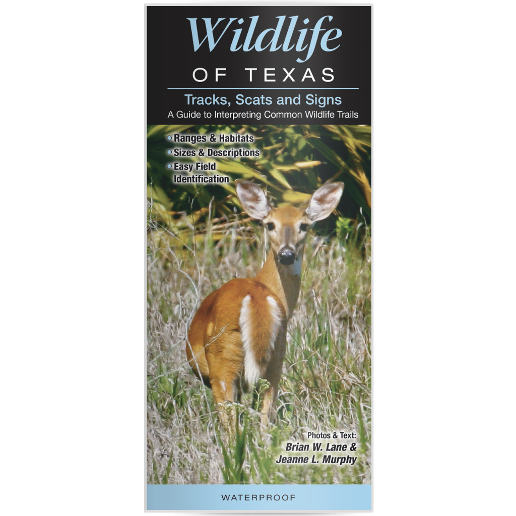 Austin & Texas Wildlife of Texas Guide PB