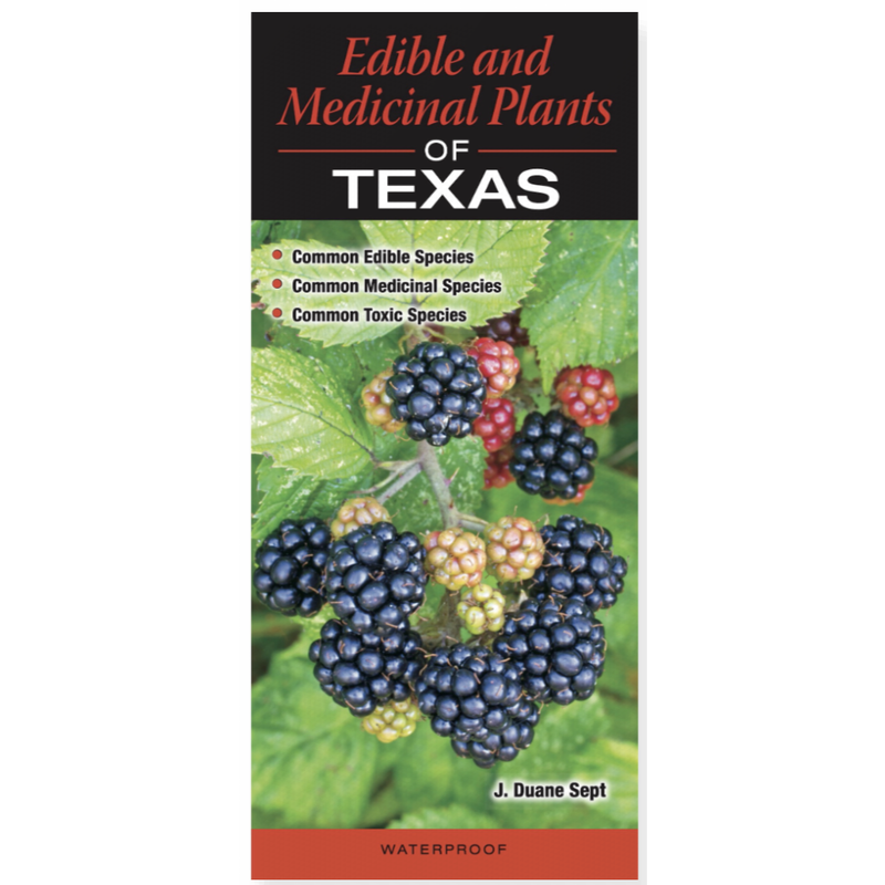Austin & Texas Edible and Medicinal Plants of Texas