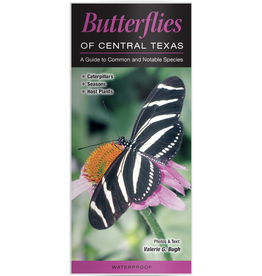 Austin & Texas Butterflies of Central Texas Guide PB