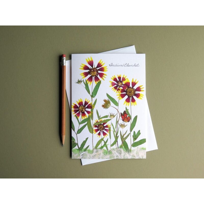 Austin & Texas Indian Blankets w/Monarch card