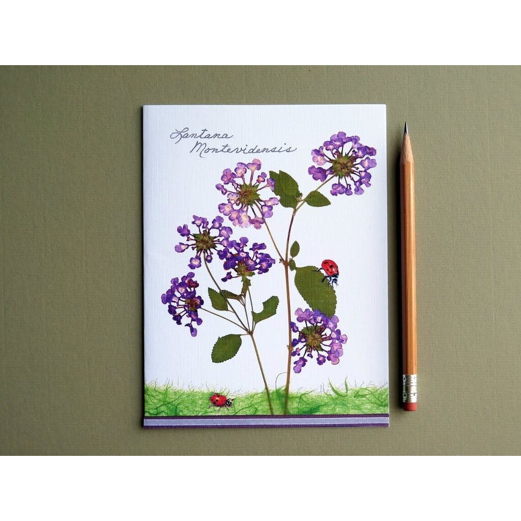 Austin & Texas Purple Lantana w/Lady Bug card~