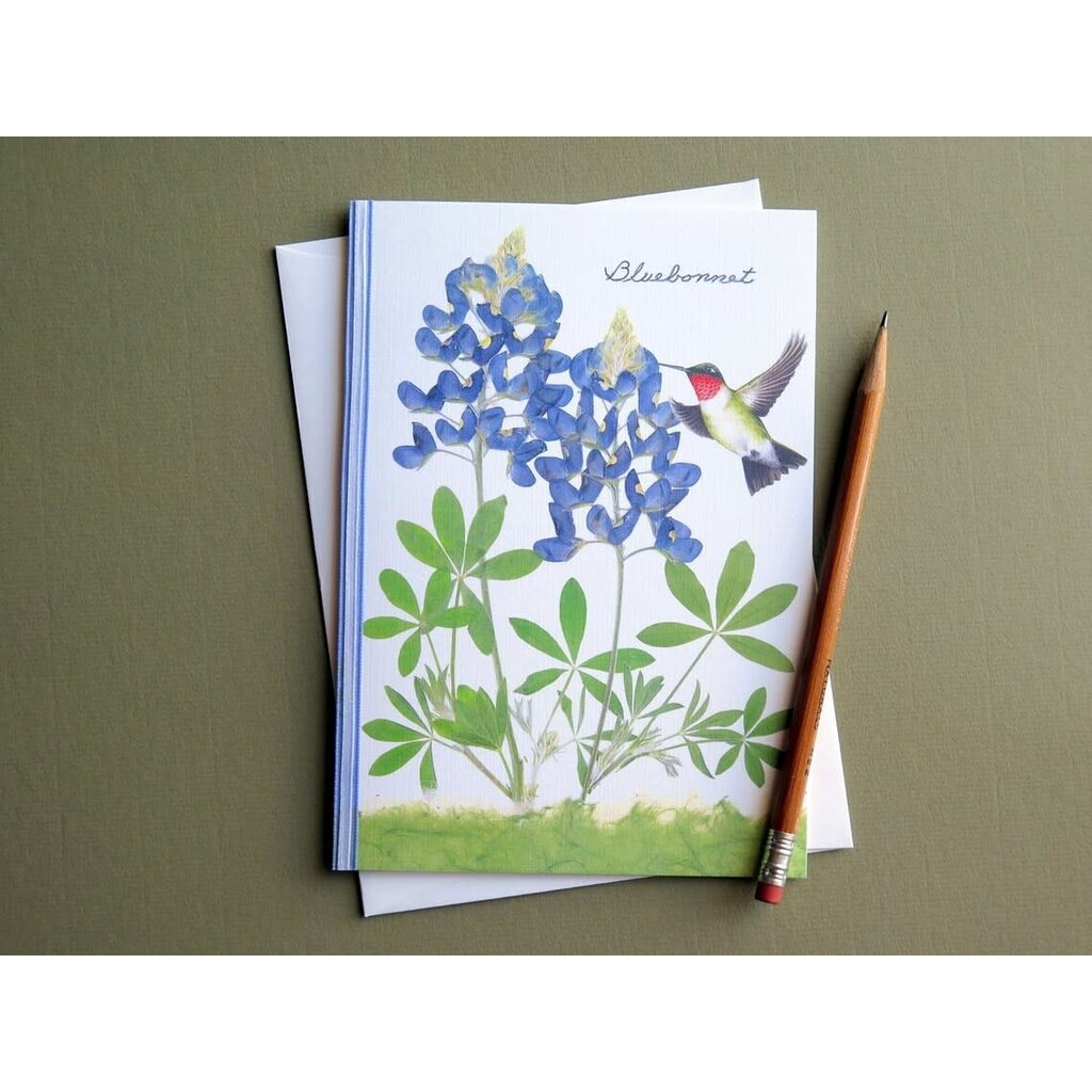 Austin & Texas Bluebonnet with Small Hummingbird 8X10 print