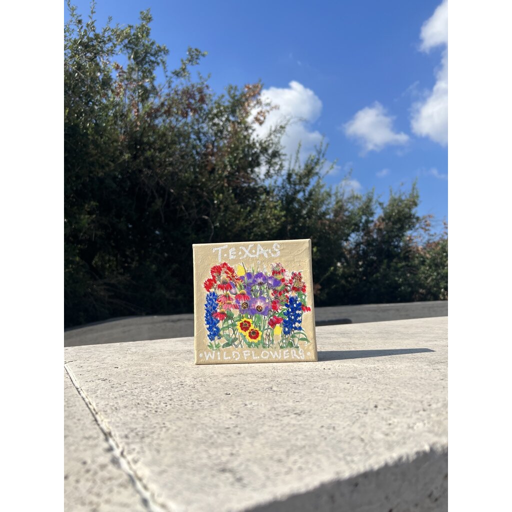 Austin & Texas Texas Wildflowers Mixed Media 6x6 Jean Schuler