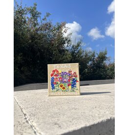 Austin & Texas Texas Wildflowers Mixed Media 6x6 Jean Schuler