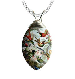 Haeckel's Hummingbirds Necklace