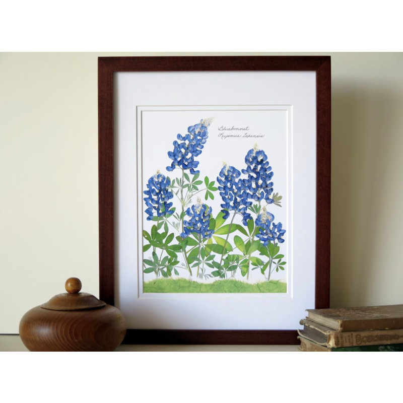 Lady Bird Johnson 6 Bluebonnets 11x14 print
