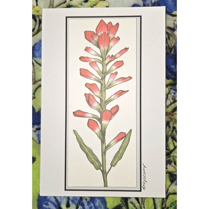 Indian Paintbrush Raised Card